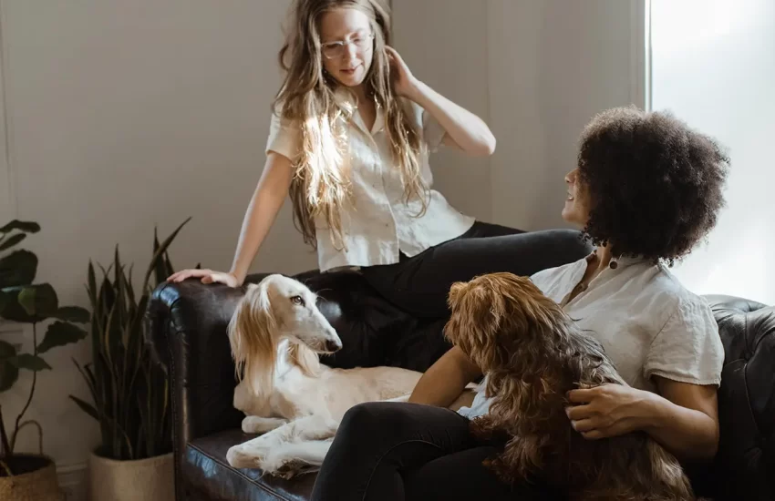 Two women introducing two dogs at home